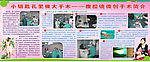 腹腔镜手术简介