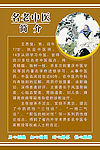 名中医简介海报