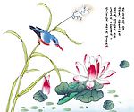赏荷