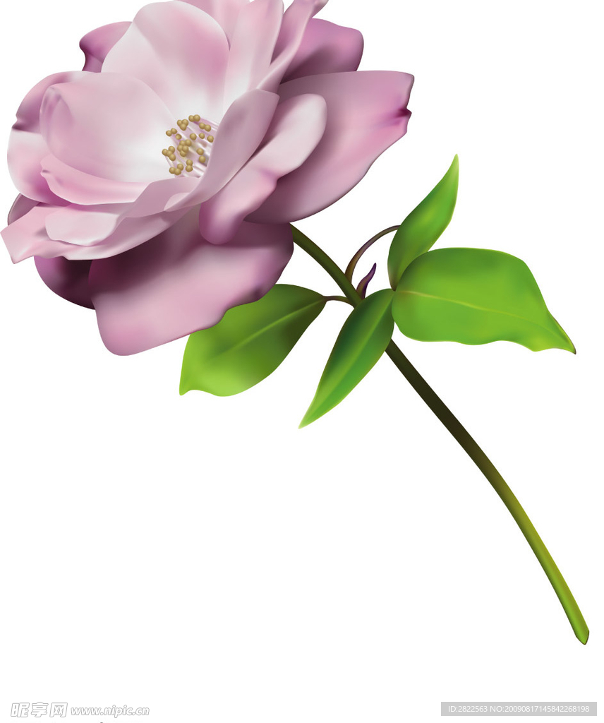 鲜花一朵