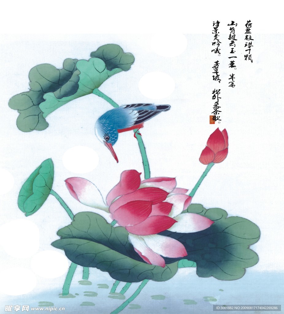 赏荷