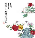 娇容