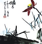 墨荷