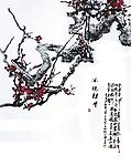 冰魂劲骨