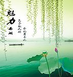 魅力西湖