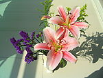 百合花