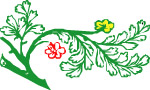 花纹