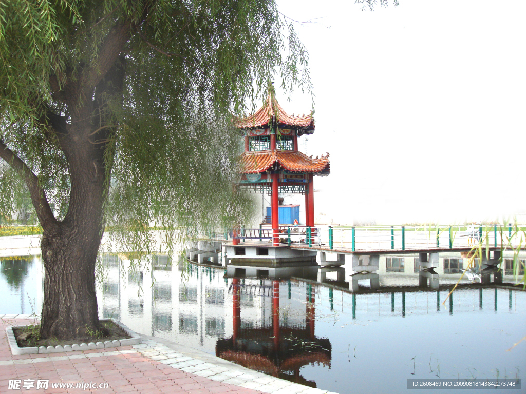 美丽风景