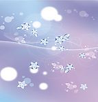 梦幻花园