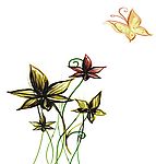 花裳