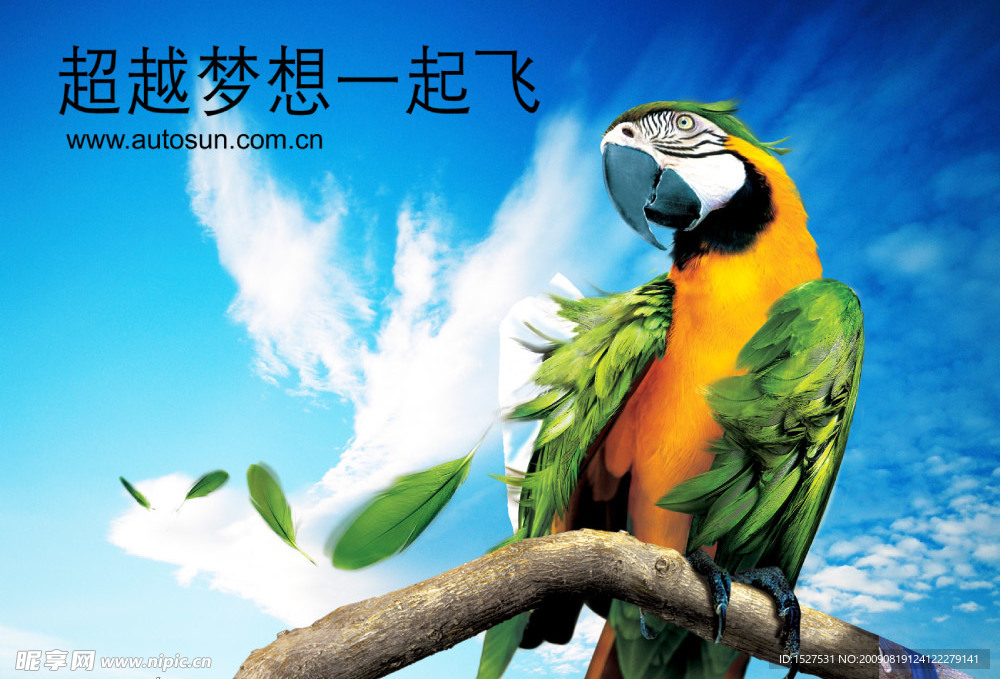 鹦鹉