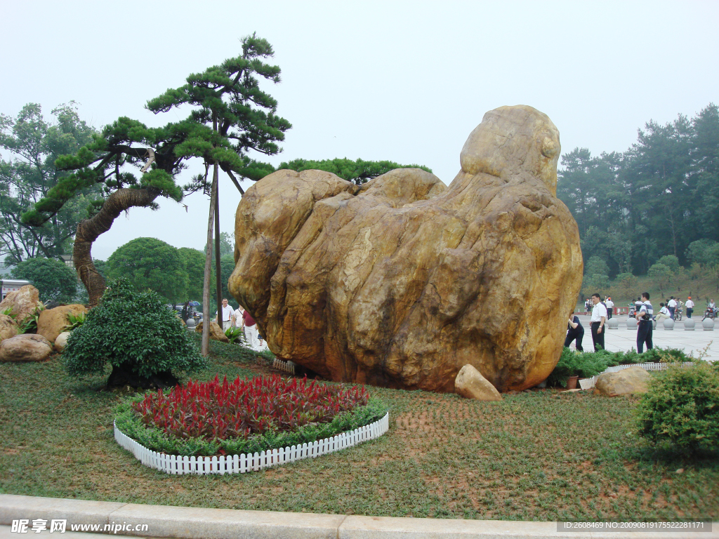 美丽风景