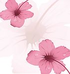 花露