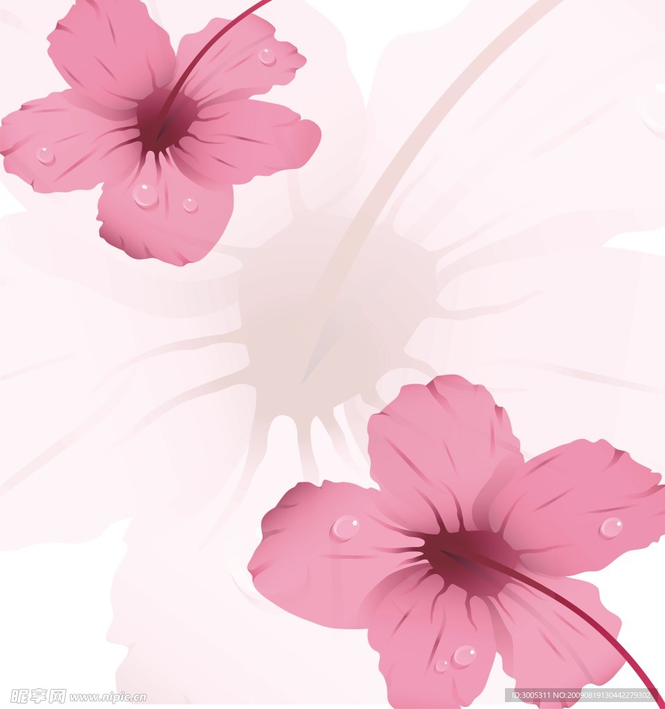 花露