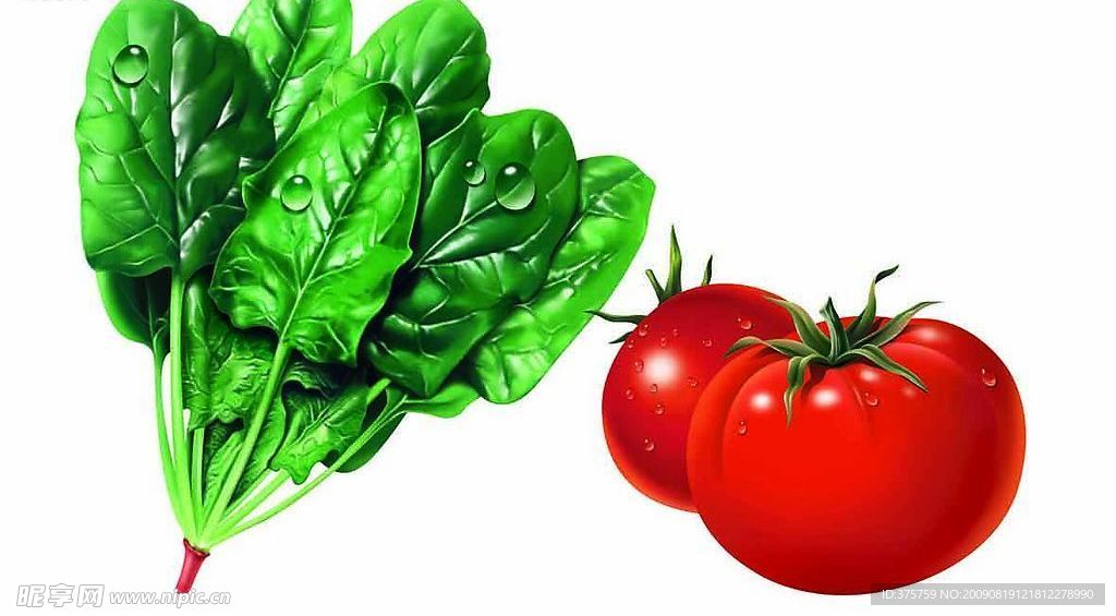 菠菜蕃茄