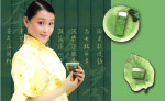 古典风格化妆品广告