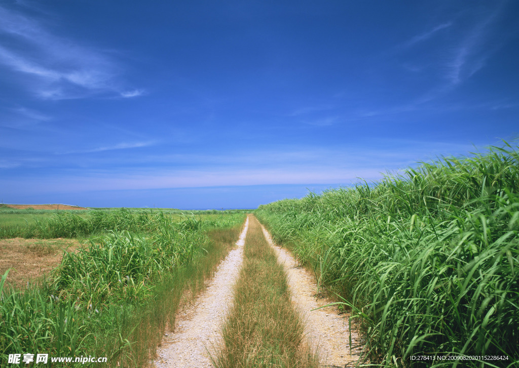 蓝天 白云 晴空 美景