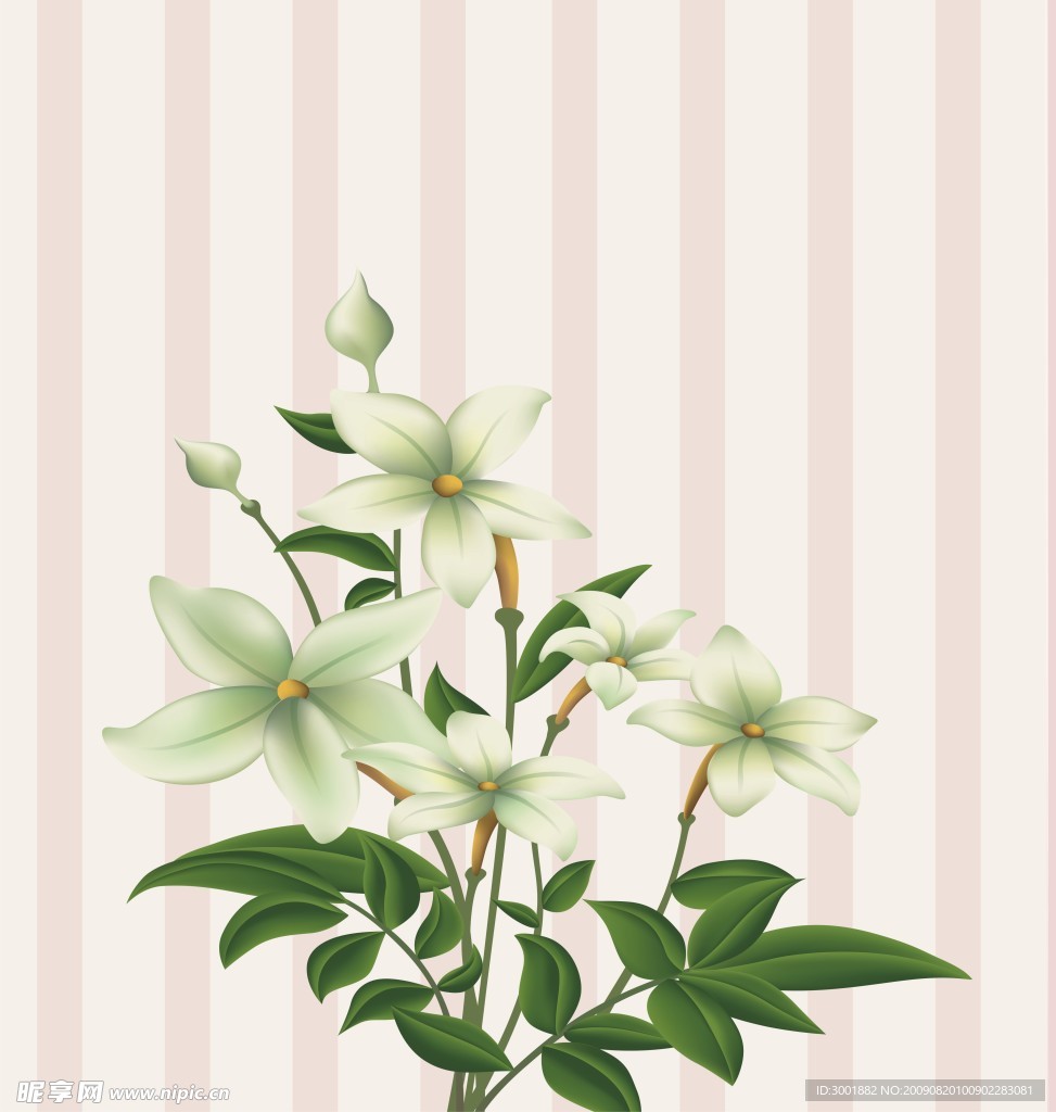 清雅之花