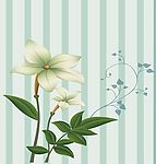 清雅之花