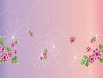 花缘之间