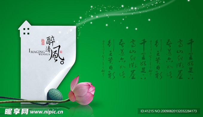 古典荷花