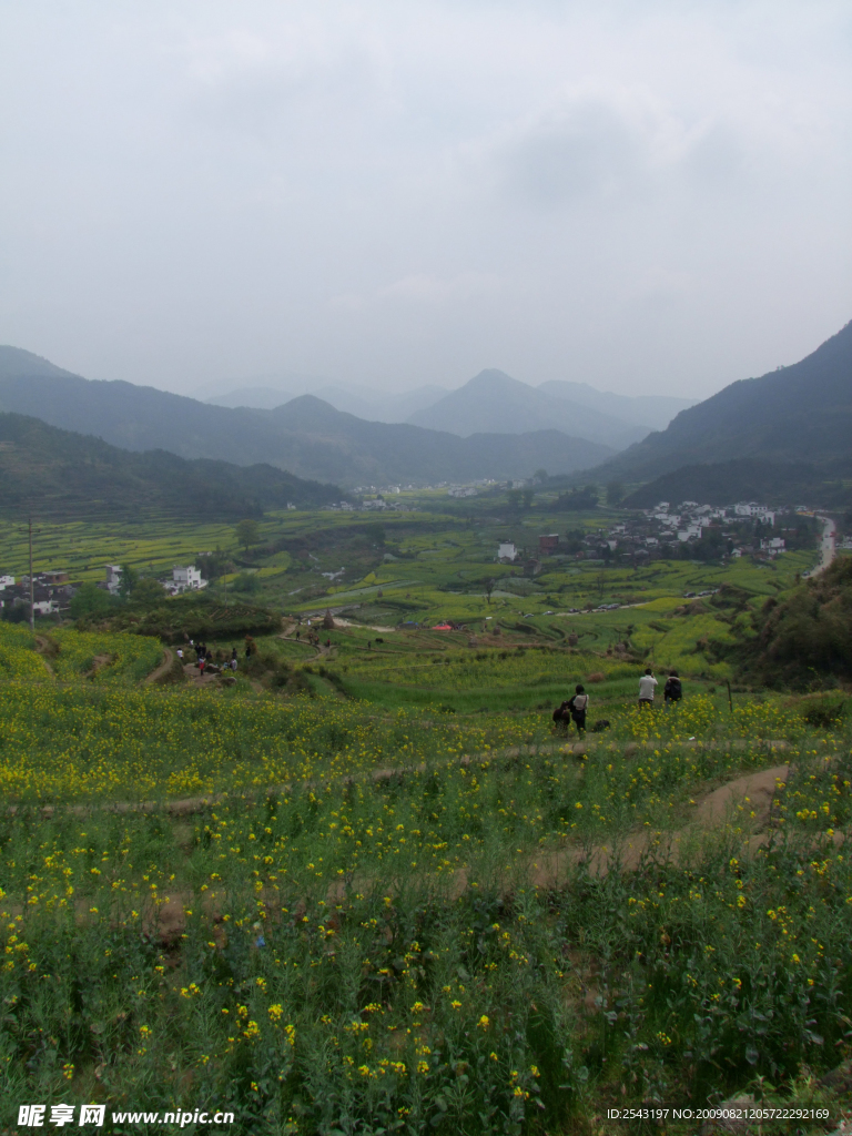 美丽山景