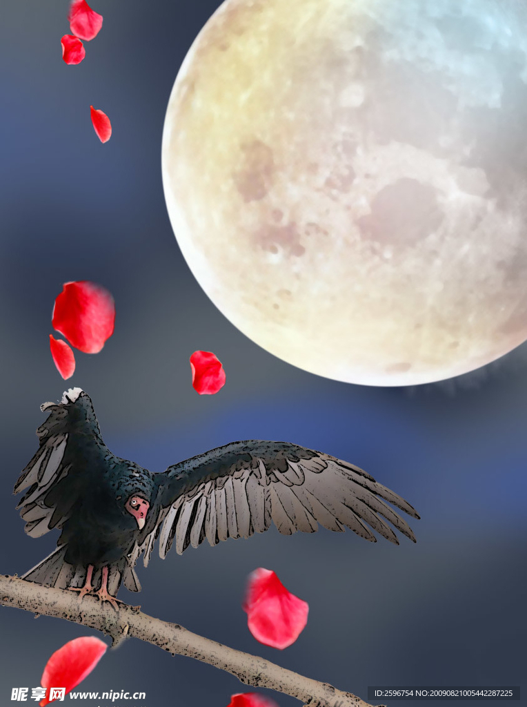 月夜鸟鸦