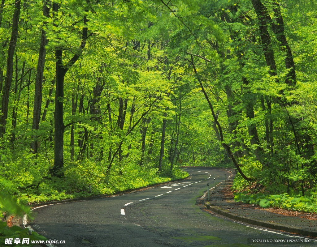 道路 公路 交通 美景 自然 風光