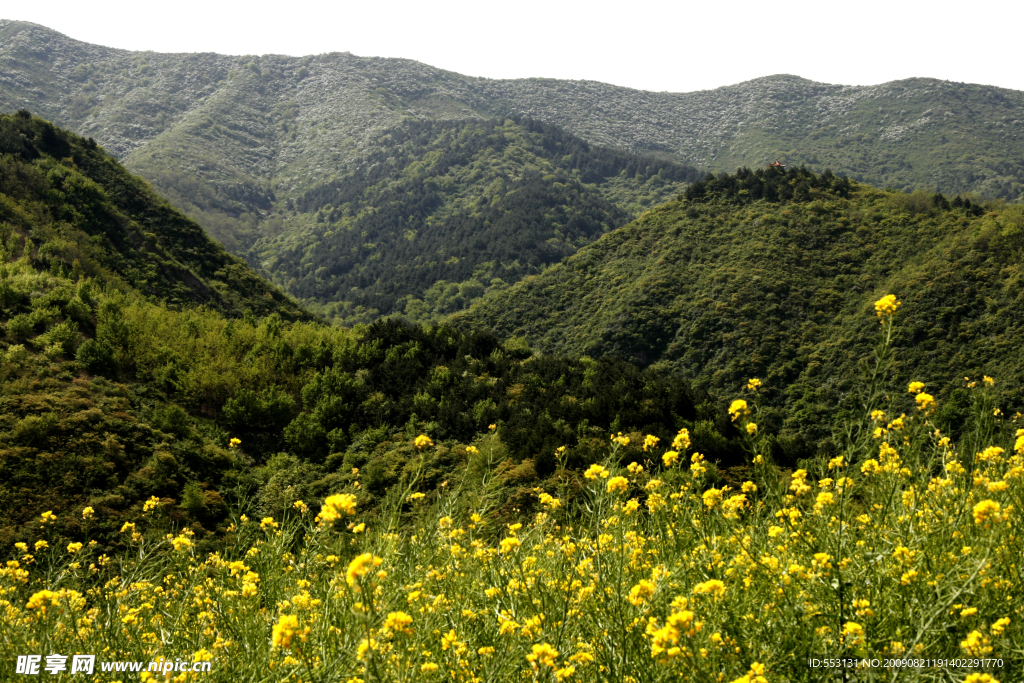 远山风景