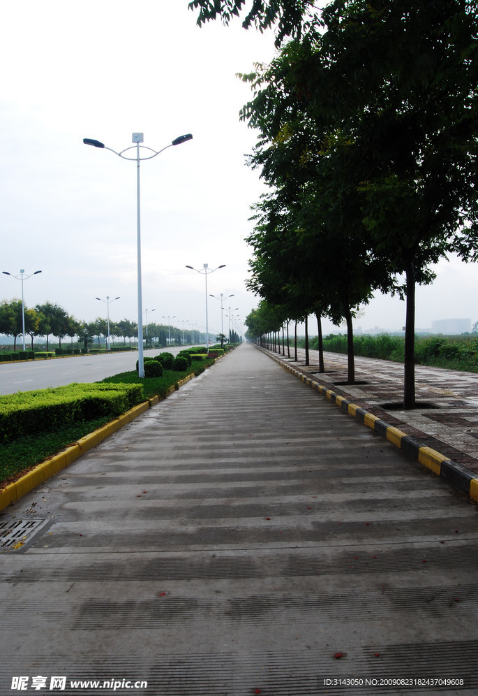 道路