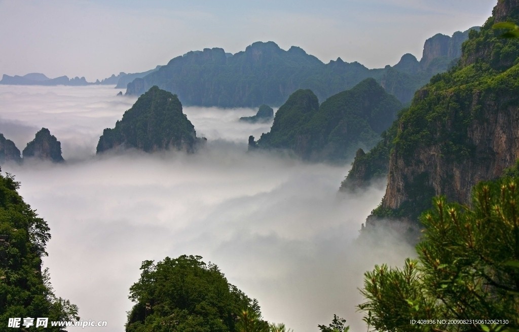 王莽岭风光