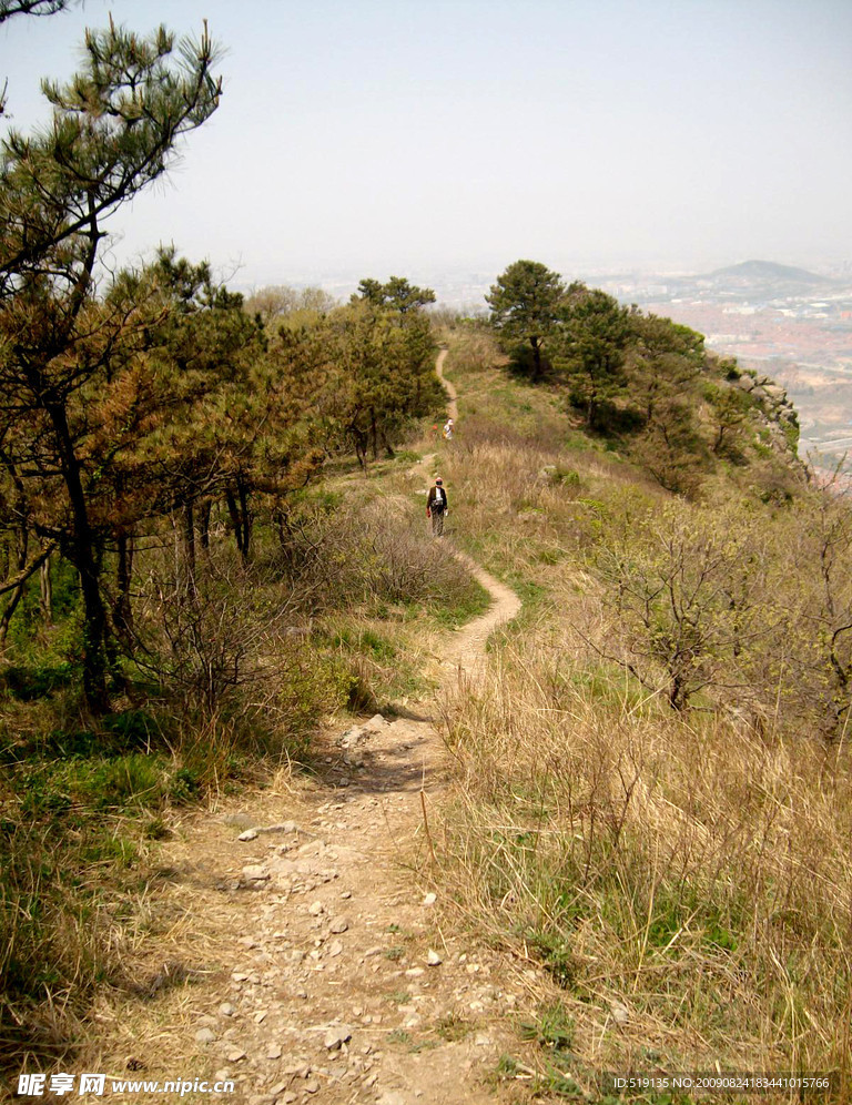 树 山头 路