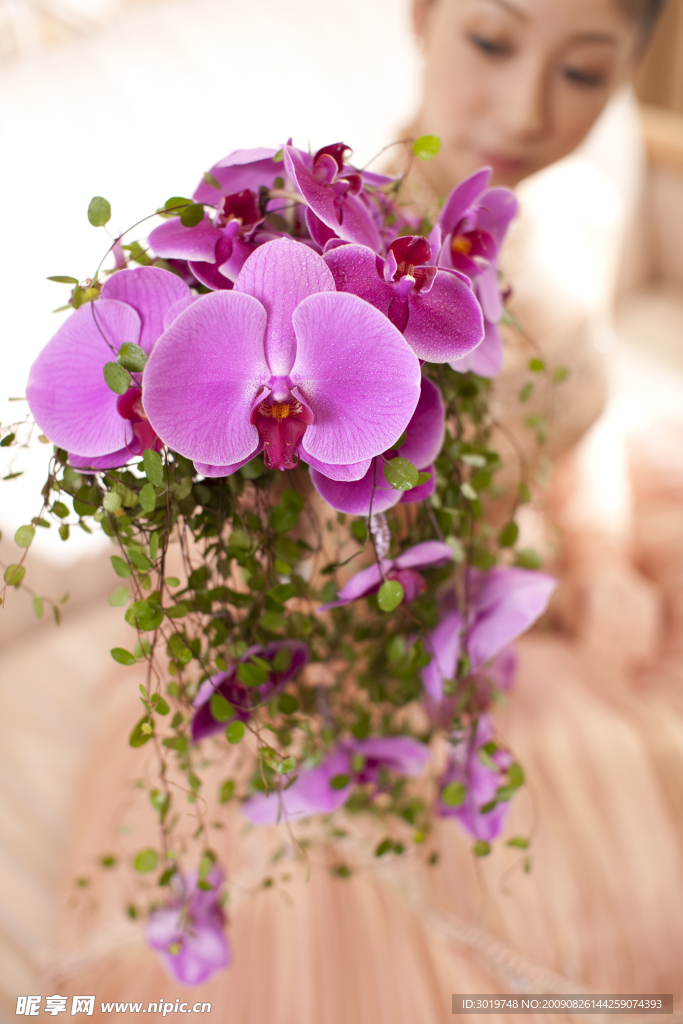 鲜花 花朵 高清图片