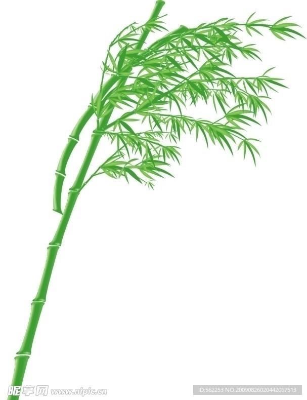 手绘竹子