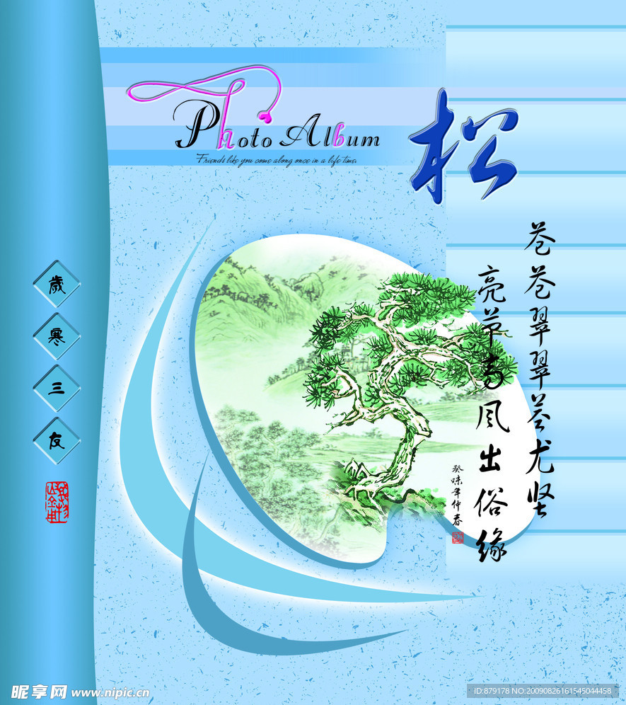 松树的相册