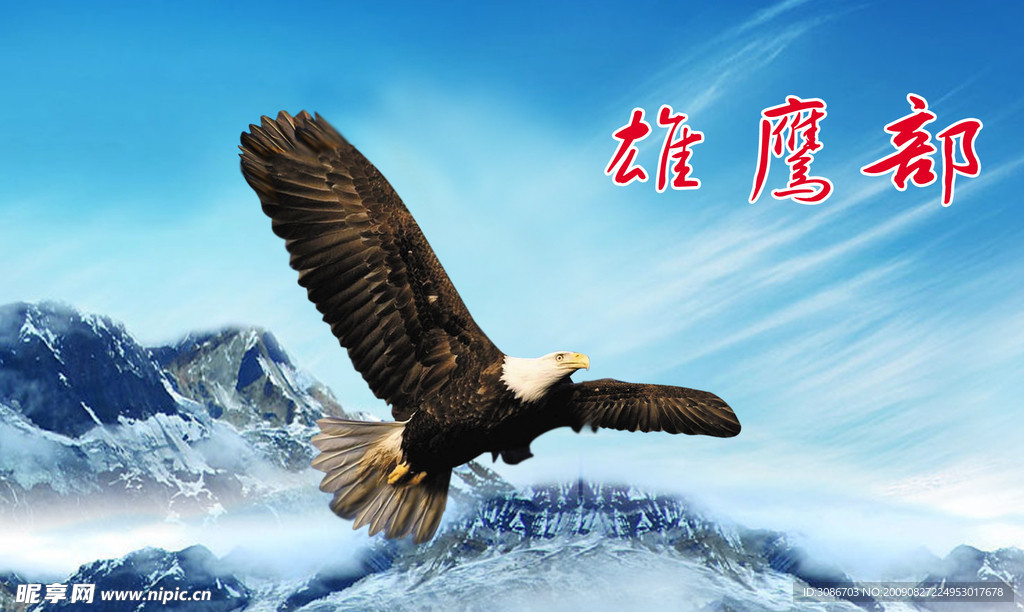 雄鹰 （分层不算精细）