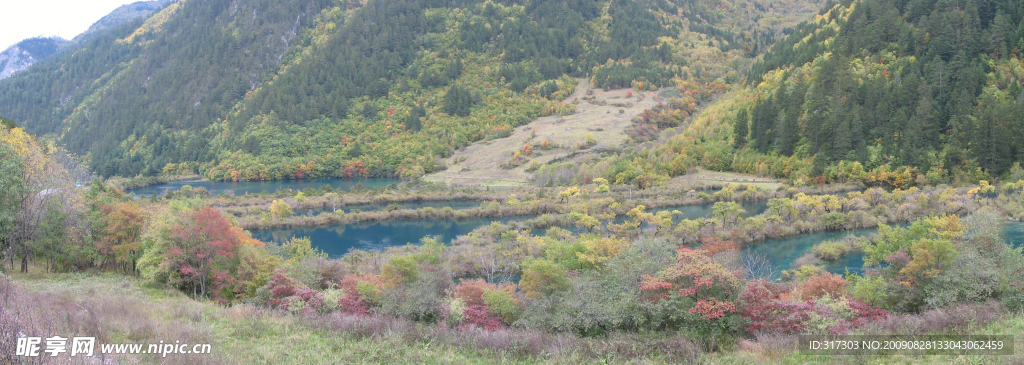 九寨沟 树正群海