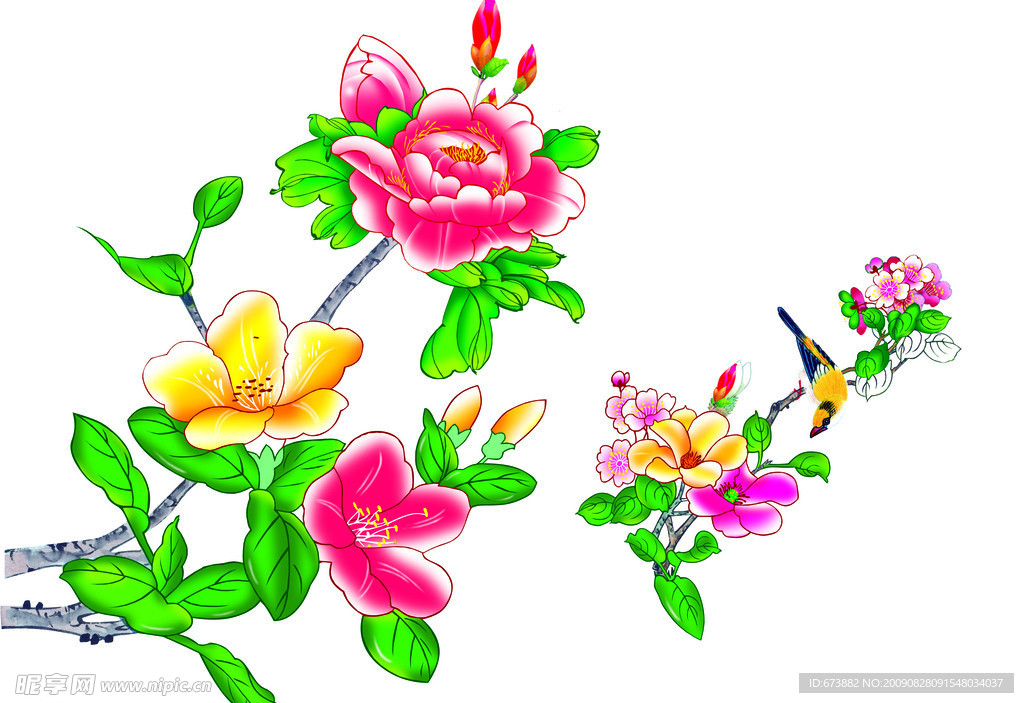 富贵花开