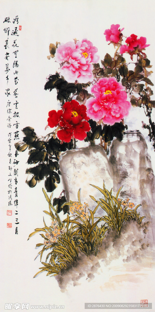 牡丹