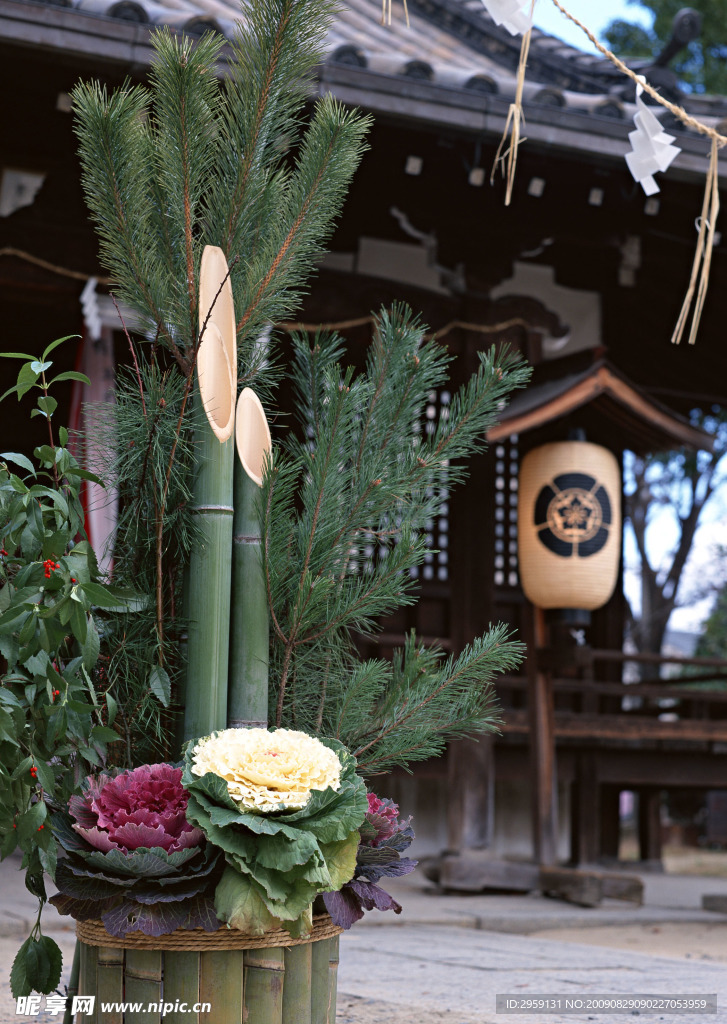 林间小屋