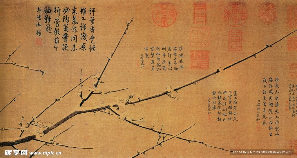 盛开桃花