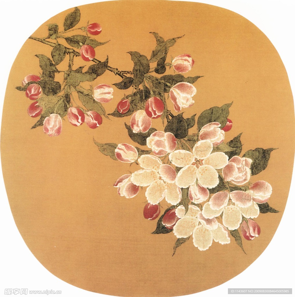 传世花朵