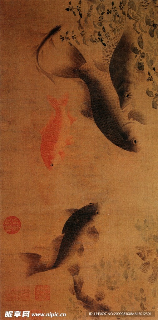 自由的鱼