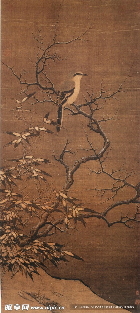杜鹃在树杆上
