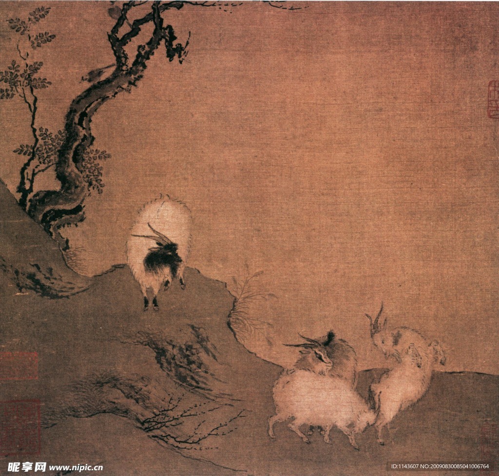 山羊玩耍