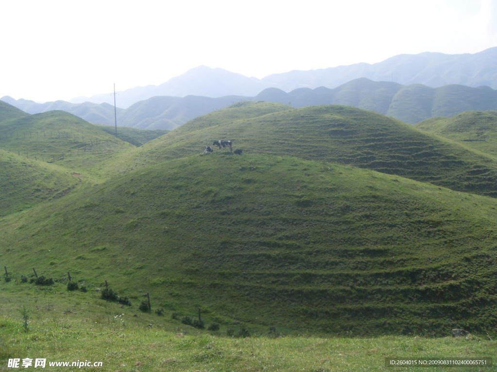 南山牧场