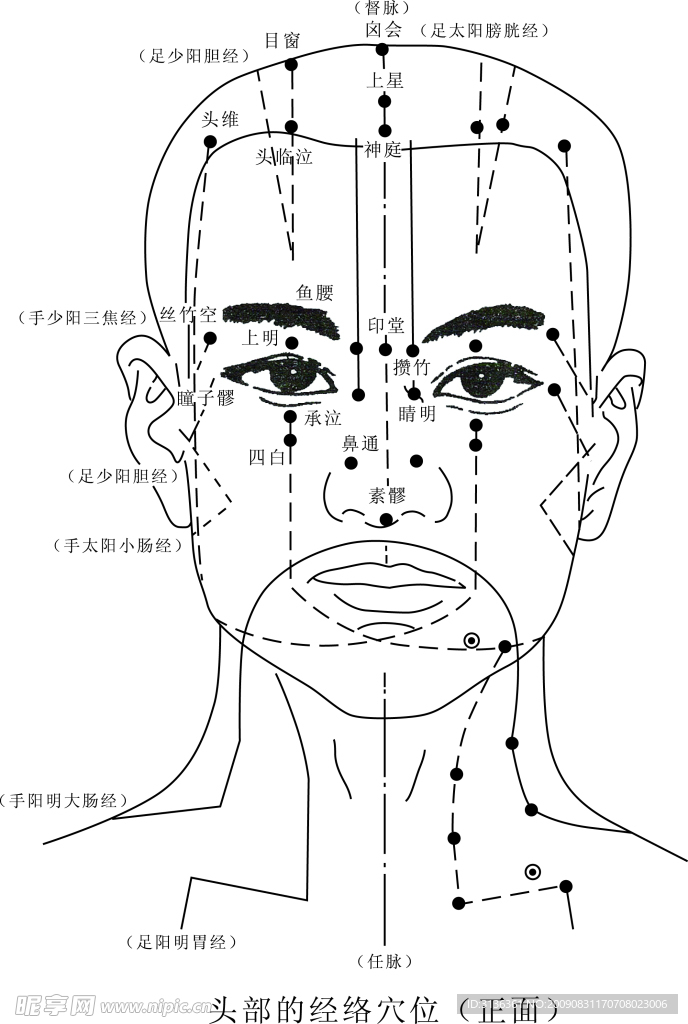 穴位
