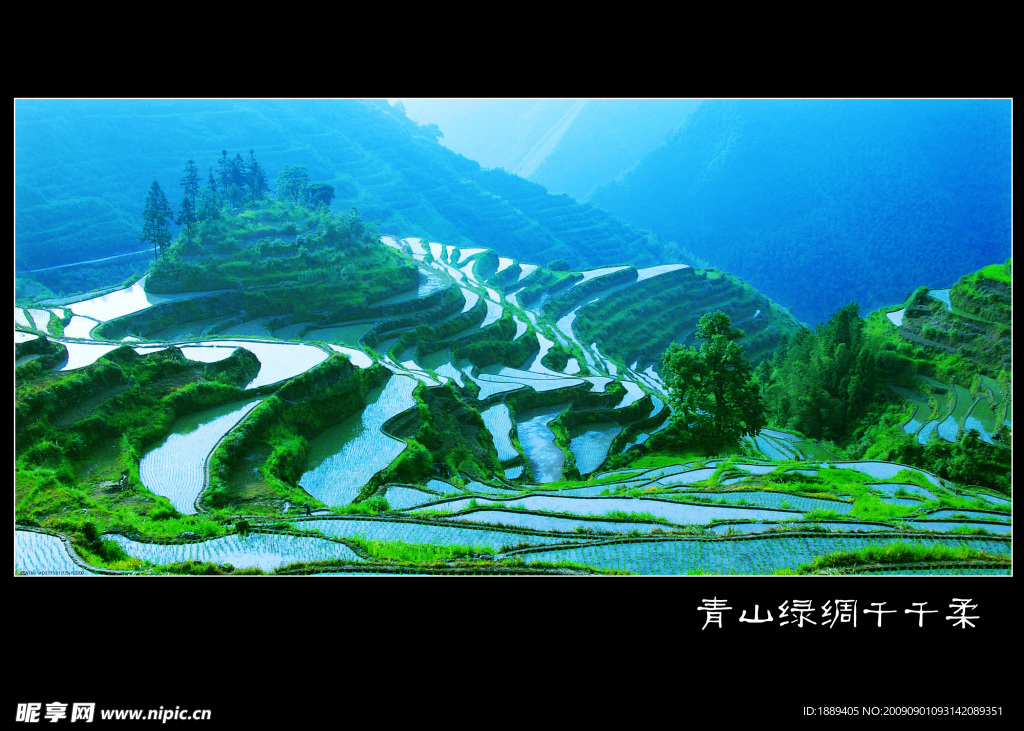 梯田晨景
