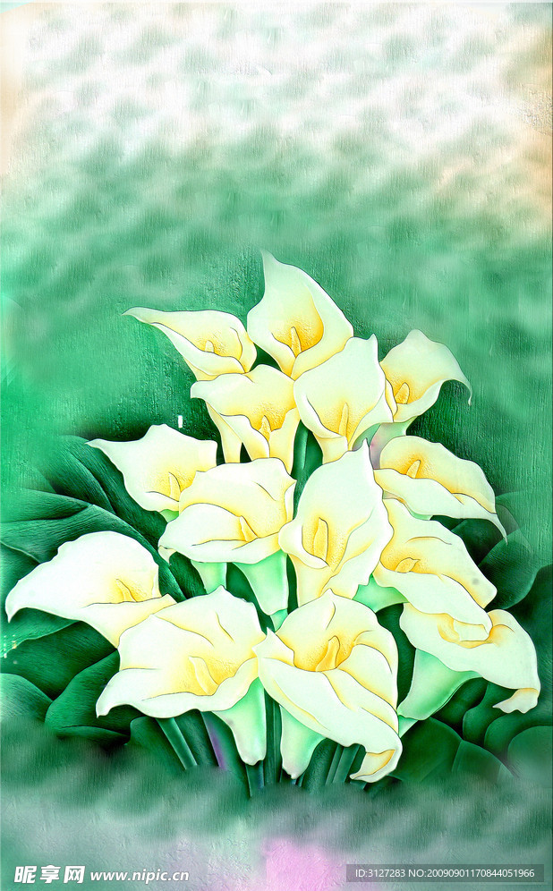 马蹄莲