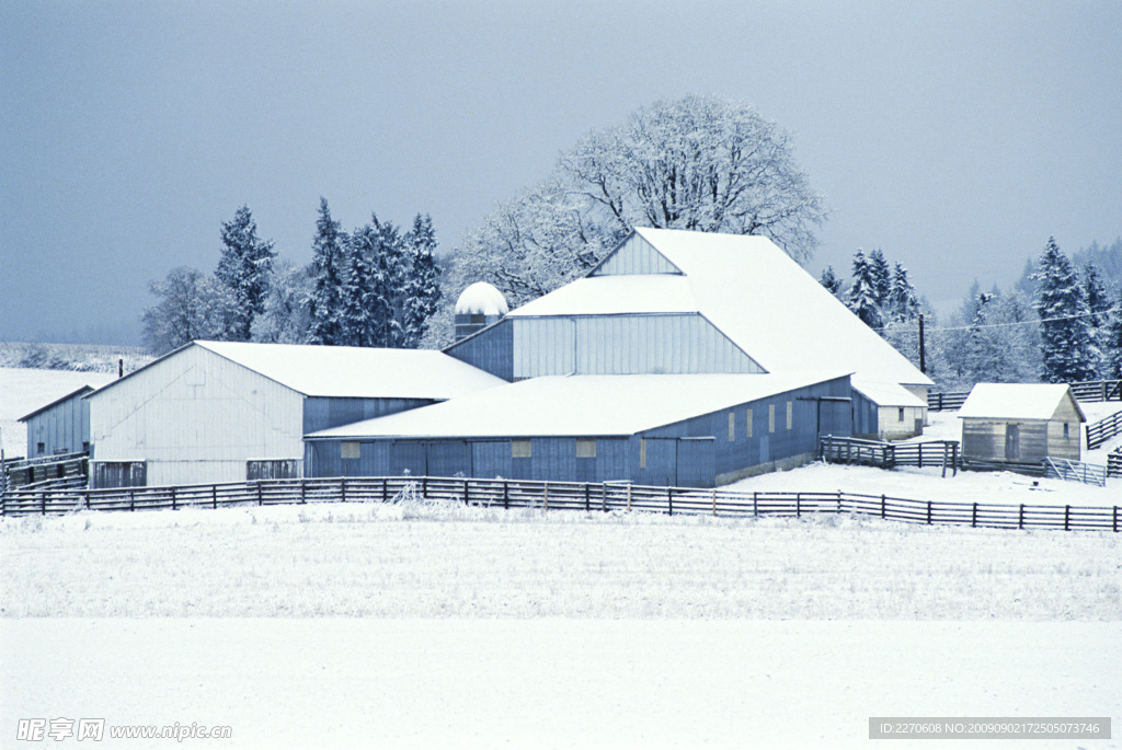 农场 国外农场 乡村风景 草原 草地 绿色 大气 植物 雪景 大雪